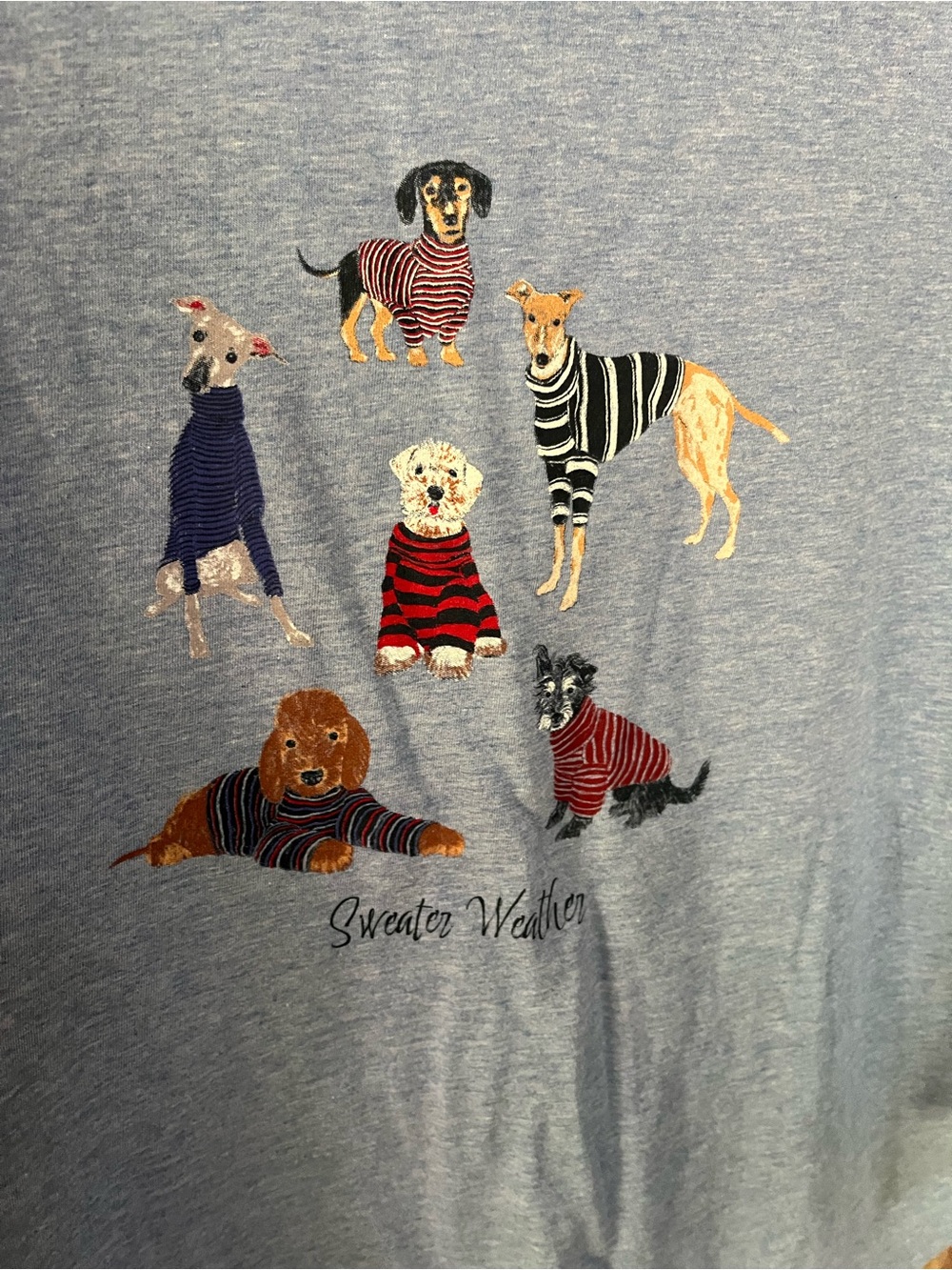 Talbots Light Blue Tee with Dog Sweater Graphic Sm - Picture 4 of 4